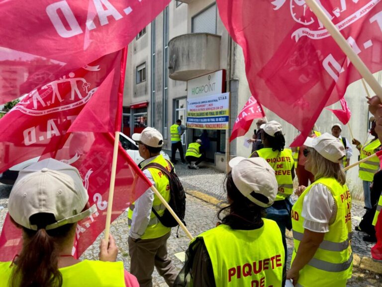 greve stad limpezas viseu