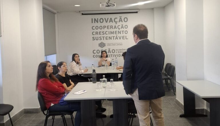 incubadora inovação social viseu dão lafões web
