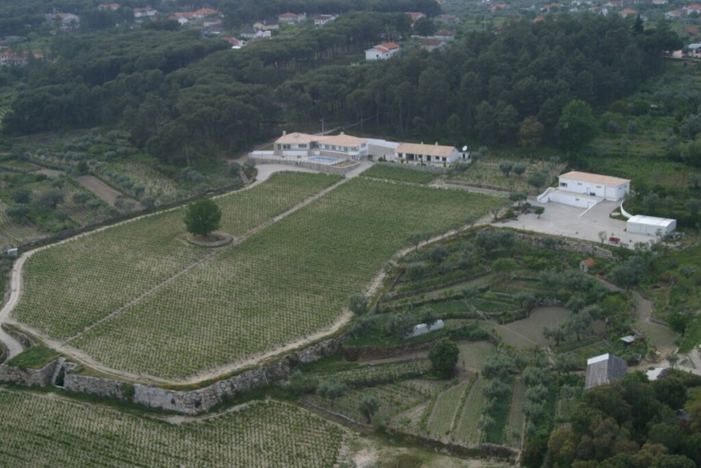  Indústria têxtil reúne-se este sábado em Viseu na Quinta da Penseira - Jornal do Centro