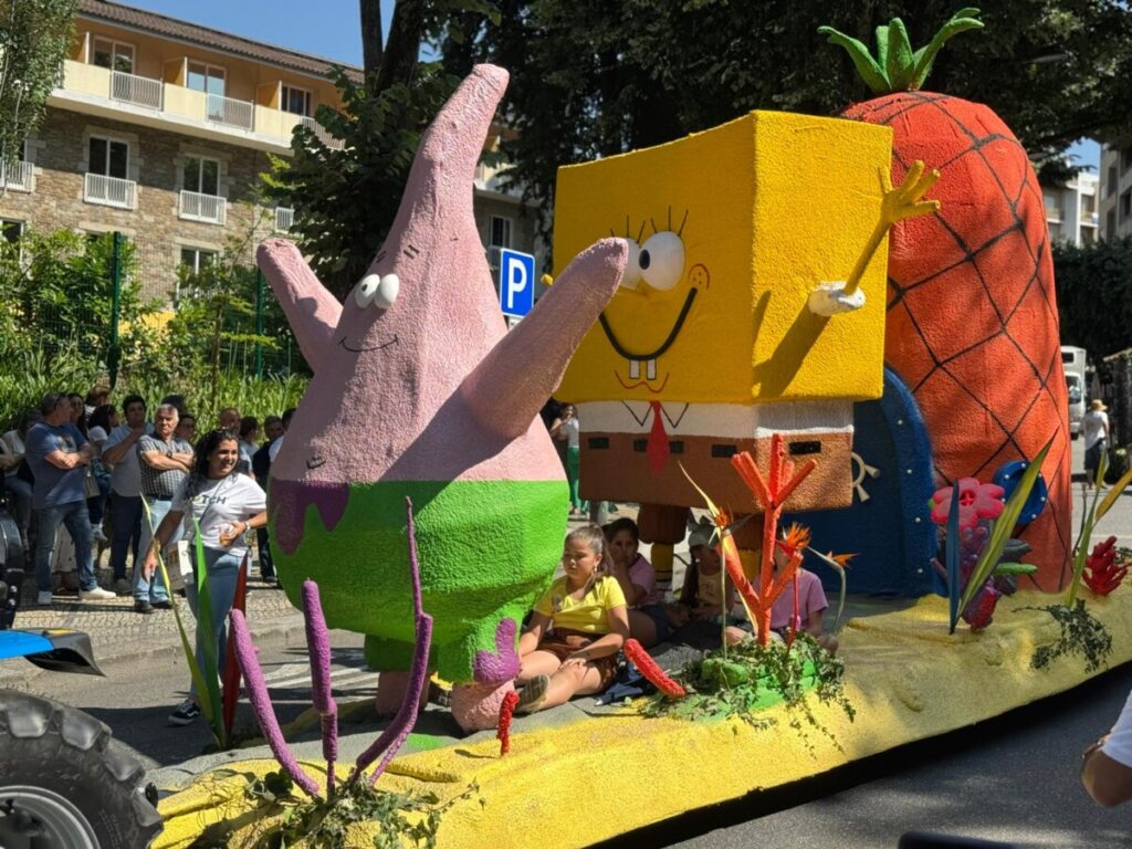  Uma tarde para ver o desfile de Teivas onde os trajes exuberantes fazem a Dança da Morgadinha - Jornal do Centro