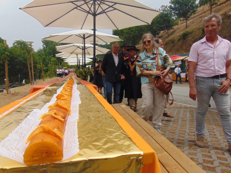 torta de laranja recorde v2 oliveira de frades
