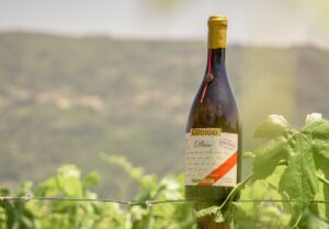 vinho manifesto web
