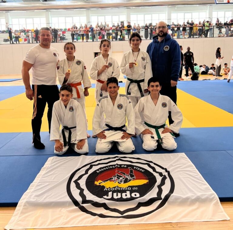 viseu academia de judo zonais norte