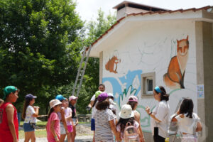 viseu menina da beira