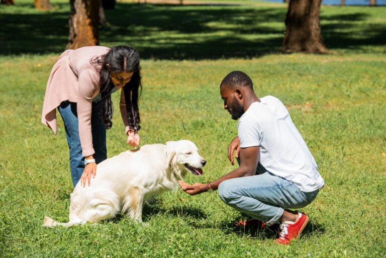 african american couple palming golden retriever in park