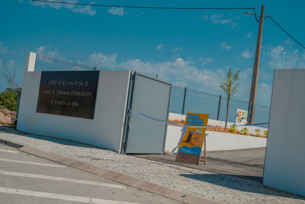  Inaugurado Centro de Recolha de Animais para Moimenta da Beira, Armamar e Tabuaço - Jornal do Centro