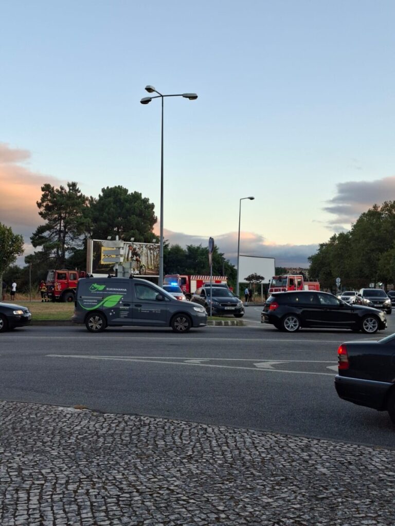  Incêndio em descampado junto ao Politécnico de Viseu já está em rescaldo (c/vídeo) - Jornal do Centro