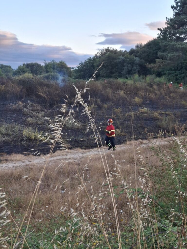  Incêndio em descampado junto ao Politécnico de Viseu já está em rescaldo (c/vídeo) - Jornal do Centro
