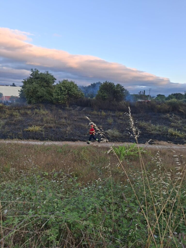  Incêndio em descampado junto ao Politécnico de Viseu já está em rescaldo (c/vídeo) - Jornal do Centro