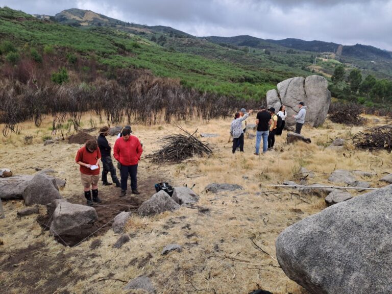 arqueologia vouzela