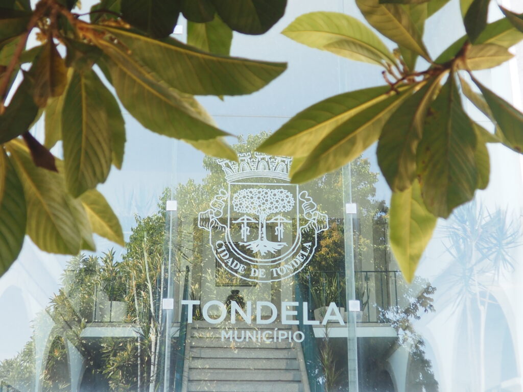  Radar Social de Tondela já está a funcionar - Jornal do Centro