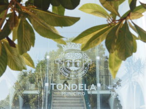 câmara de tondela