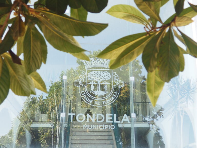 câmara de tondela