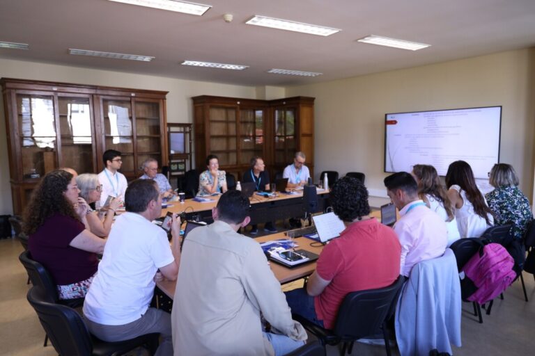 cim viseu dão lafões projeto europeu