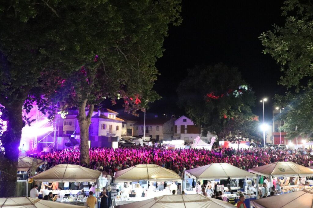  Tony Carreira, Némanus, Insert Coin e Anjos nas Festas de Vila Nova de Paiva - Jornal do Centro