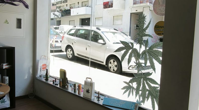  Cannabis: A planta que Portugal cultiva, mas não consome - Jornal do Centro
