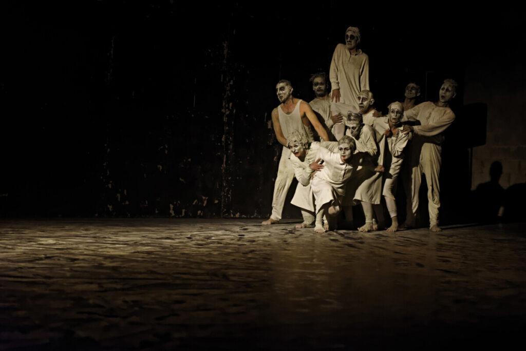  Dança contemporânea e bacalhau à mesa na nova temporada do Teatro Viriato - Jornal do Centro