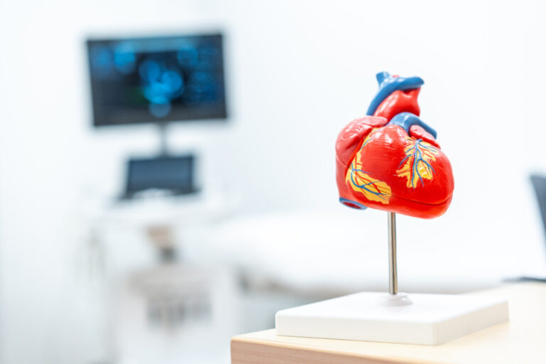 Mockup of a heart in a cardiology clinic copy and paste space