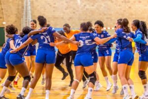 são pedro do sul andebol