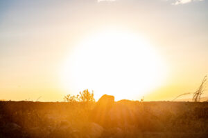 Sunset Sunrise sundowner golden hour orange kenya landscapes east africa