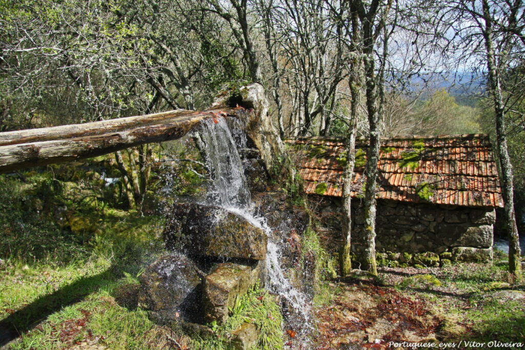  Cinco parques que tem de visitar no distrito de Viseu para se refrescar - Jornal do Centro