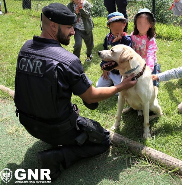GNR - Dia Mundial do Cão_1