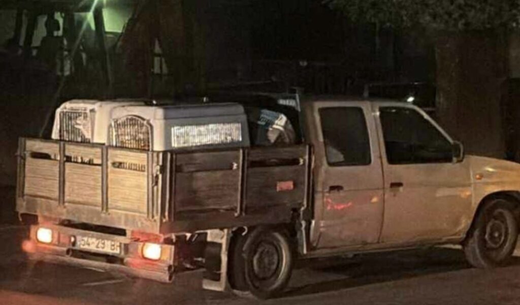  Incêndio em Tabuaço ameaça abrigo de animais de rua - Jornal do Centro