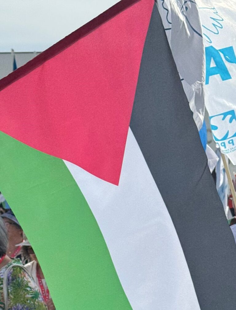 bandeira palestina web