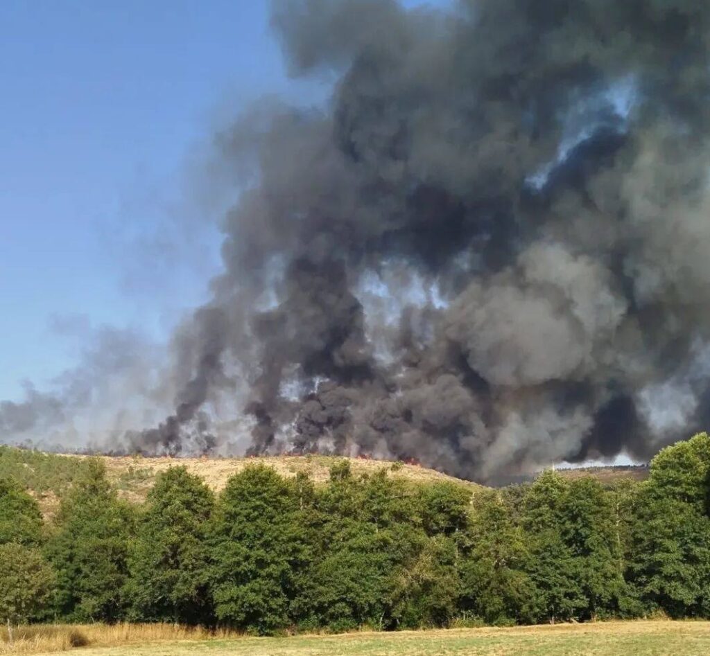 castro daire incendio