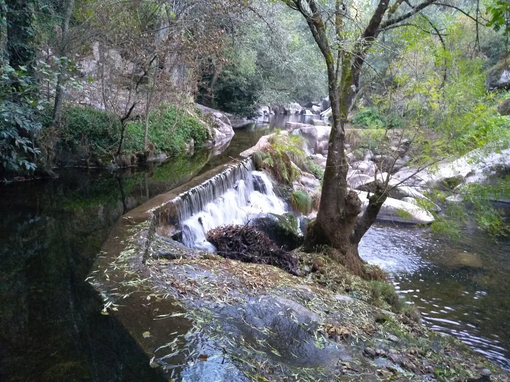  Cinco parques que tem de visitar no distrito de Viseu para se refrescar - Jornal do Centro