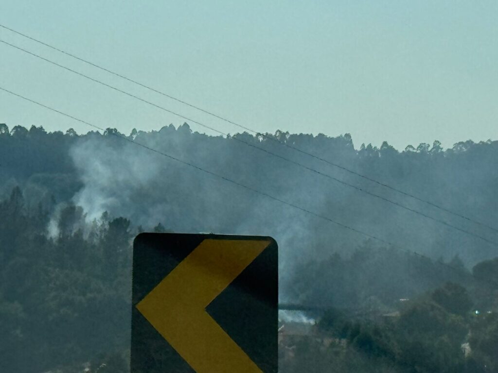  Incêndios: Dominado pelas 23:00 fogo que atingiu Vila Chã de Sá, Viseu - Jornal do Centro