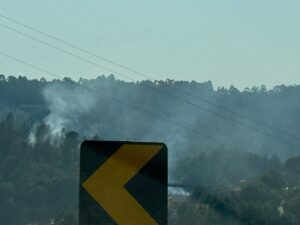 fogo