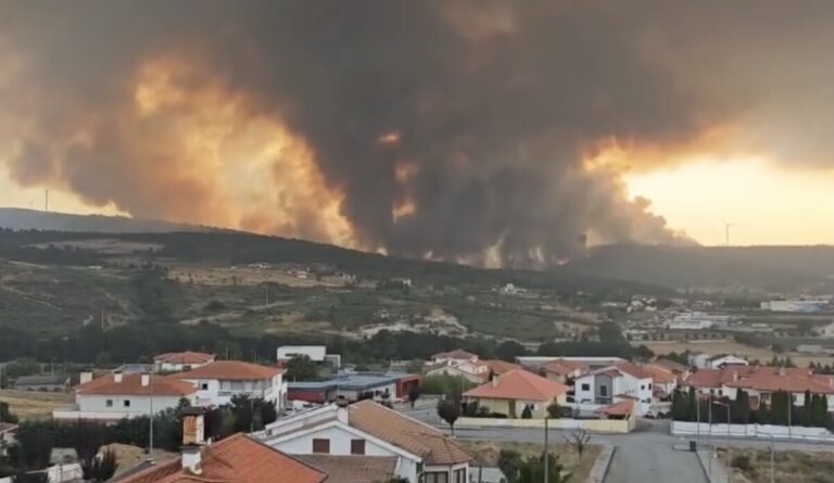 fogo alvite