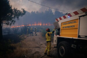Firefighters battle a forest fire in Vila Real