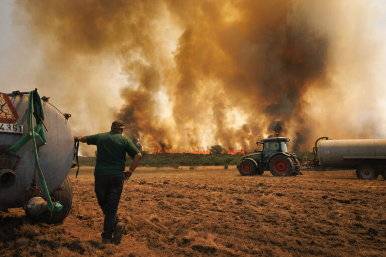 Forest fire in Moimenta da Beira