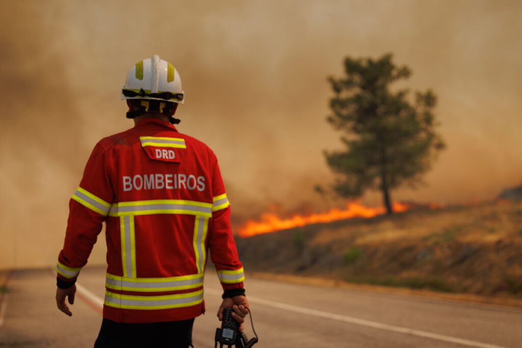 Wildfires in Portugal