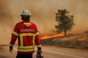 Wildfires in Portugal
