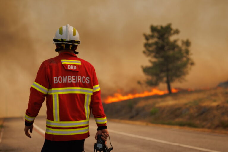 Wildfires in Portugal