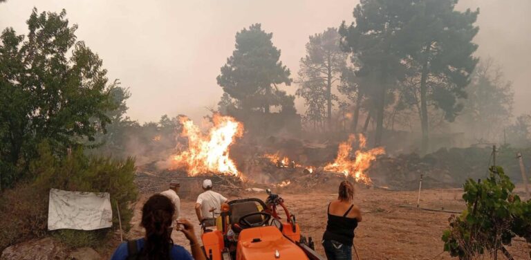 gofo incendio quiemado