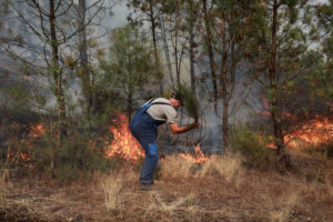 Forest Fire in Fornos de Algodres