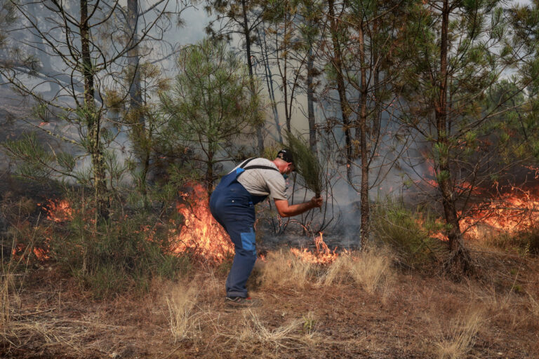 Forest Fire in Fornos de Algodres