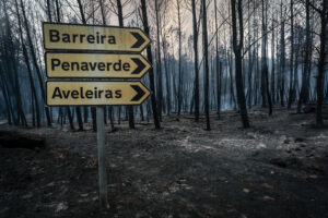 Forest Fire in Fornos de Algodres