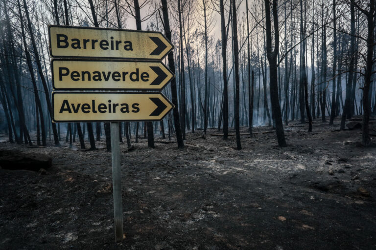 Forest Fire in Fornos de Algodres
