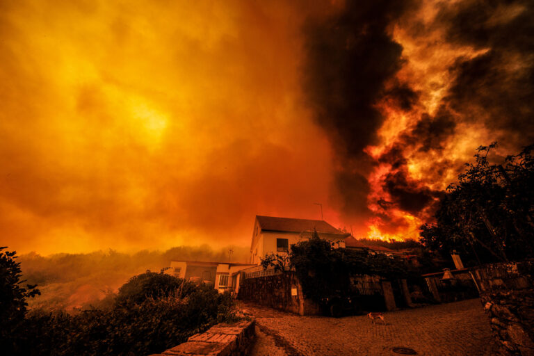 Forest fire in Sernancelhe