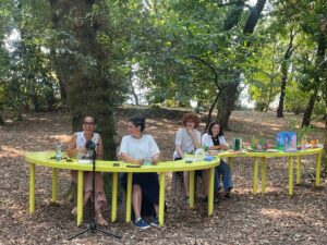 jardim das artes viseu