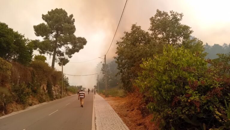 oncendios fogo queimados