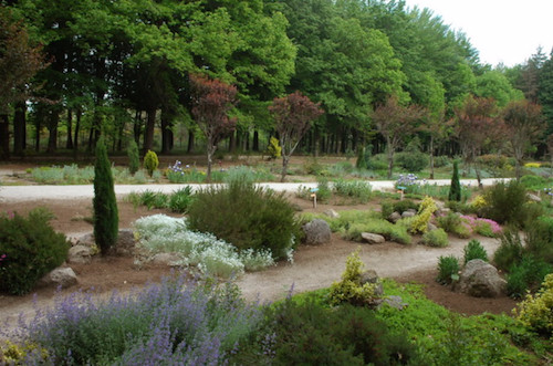  Cinco parques que tem de visitar no distrito de Viseu para se refrescar - Jornal do Centro