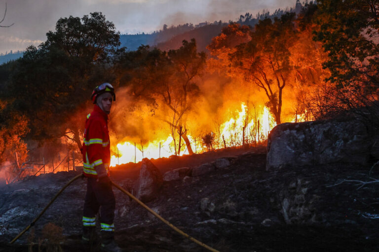 Incêndio florestal em Oliveira do Hospital