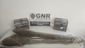GNR Viseu - Apreensão