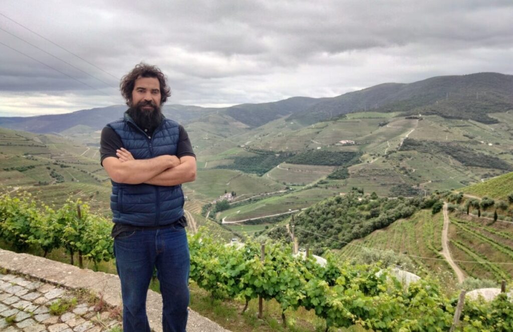  Azeite que nasce de oliveiras centenárias no Douro
